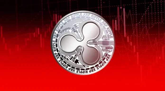 Informe del tercer trimestre de 2024 de Ripple: XRP ve un mayor interés institucional y ganancias de mercado