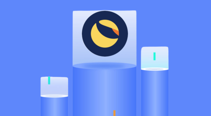 ¿Debería considerar Terra (LUNA) y Terra Classic (LUNC) para el próximo Bull Run?