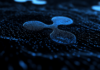 Por qué un analista dice que ahora es el momento de comprar XRP, antes de que alcance los $14