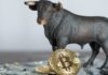El precio de Bitcoin supera los $ 90,000 mientras el 'comercio de Trump' continúa estimulando los mercados