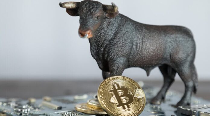 El precio de Bitcoin supera los $ 90,000 mientras el 'comercio de Trump' continúa estimulando los mercados