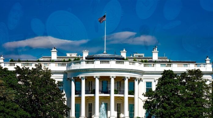 Trump considera crear un puesto dedicado a las criptomonedas en la Casa Blanca