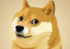 Dogecoin alcanza un máximo de 43 centavos en el continuo júbilo electoral