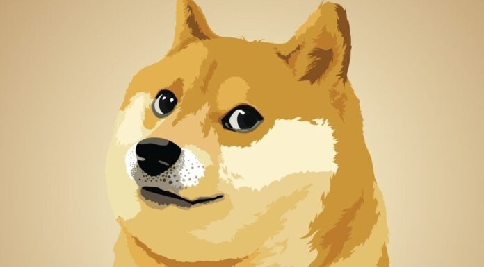 Dogecoin alcanza un máximo de 43 centavos en el continuo júbilo electoral
