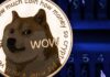 La reserva estratégica de Bitcoin podría suceder. ¿Por qué no Dogecoin, dice el cofundador?