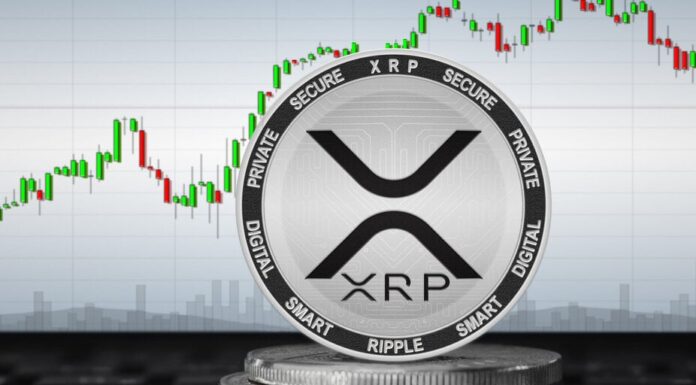 El año en XRP: precio máximo de 7 años, Ripple vs SEC y crecen las esperanzas de ETF