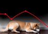 Dogecoin cayó un 19% desde que alcanzó el máximo de 3 años, a pesar del rebote de Bitcoin