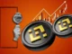 ¿Los datos en cadena de Binance (BNB) apuntan a alcanzar los $ 1000 este 2024?