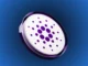 Predicción del precio de Cardano (ADA) para el 12 de enero