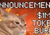 Catslap quemará tokens por valor de 1 millón de dólares
