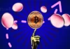 ¡El fundador de Pantera Capital revela 3 criptomonedas que explotarán durante Bitcoin Bull Run!