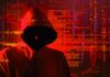 El hackeo de DeFi se ha «convertido en un trabajo de tiempo completo»: fundador de ImmuneFi