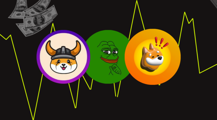 BONK lidera el rally entre las monedas meme con temática de perros; FLOKI obtiene reconocimiento como token de utilidad