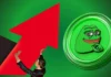 Predicción del precio PEPE para diciembre de 2024