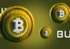 ¿Estás comprando Bitcoin? Las ballenas añaden 7.300 millones de dólares en BTC