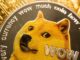 ¡No preocuparse! Dogecoin alcanzará los $5 'muy fácil' en 2025: analista