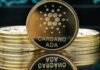 El rally Cardano se calienta: los expertos ven un salto adelante del 750%