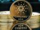 El rally Cardano se calienta: los expertos ven un salto adelante del 750%