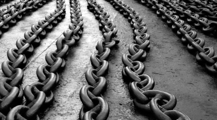 La actividad de las ballenas provoca un rally Chainlink, objetivo de $ 52 en el radar de los comerciantes