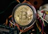 Un analista dice que el precio máximo de Bitcoin está por encima de los $225,000, la línea de tiempo lo sorprenderá