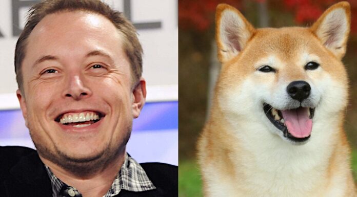 Elon Musk y Dogecoin: cómo el multimillonario se convirtió en el 'Dogefather'