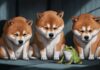 Dogecoin se desploma al precio más bajo en un mes, superando las pérdidas de Bitcoin y XRP