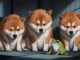 Dogecoin se desploma al precio más bajo en un mes, superando las pérdidas de Bitcoin y XRP