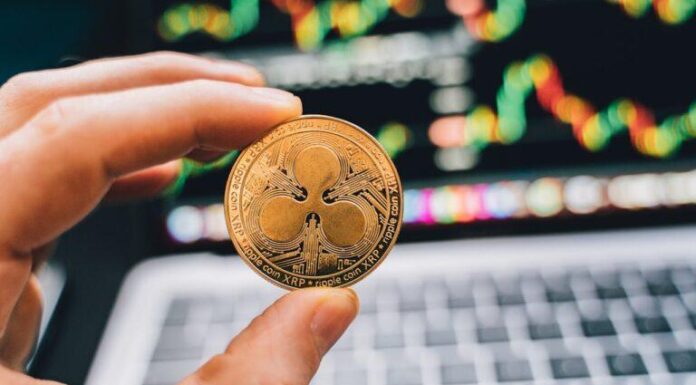 Las ballenas XRP se preparan para obtener ganancias después de que el precio aumente más del 40% en el año en que