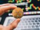 ¿Por qué XRP está abajo hoy? Negación de contratos de futuros de CME, una caída más amplia del mercado pesa sobre el rendimiento