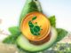 AvocadoCoin: la criptomoneda que revoluciona la sostenibilidad agrícola