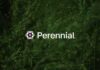 Perennial revela una nueva capa de intención para los perpetuos: resolver el problema de liquidez fragmentada de DeFi