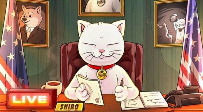 Shiro Neko logra una capitalización de mercado de mil millones de dólares el primer día