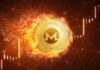 Monero alcanza un máximo de dos años de $211 a medida que las monedas de privacidad se calientan