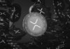 Las monedas XRP Meme como ARMY están explotando ahora mismo