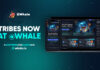 Whale Casino presenta el transformador juego multijugador “Tribes”