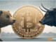 Bitcoin: ¿Deberían los comerciantes de BTC prepararse para más desventajas en enero como…