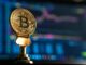 Los poseedores de Bitcoin a largo plazo entran oficialmente en territorio de la codicia, ¿es esto bueno o malo para el precio?