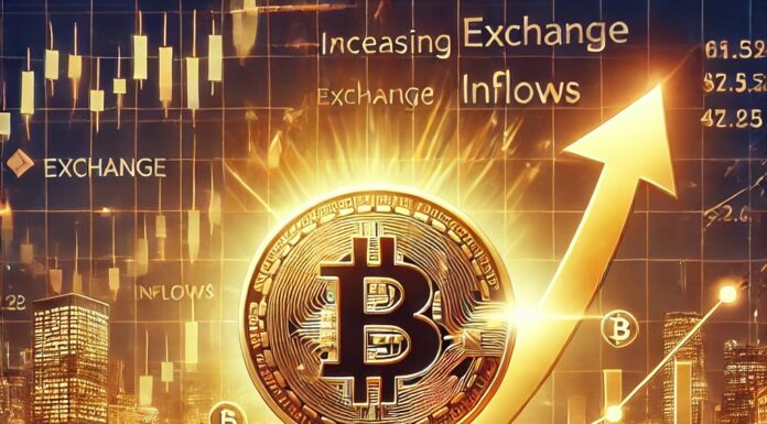 El aumento de los precios de Bitcoin desafía las entradas de divisas: lo que los inversores deben saber