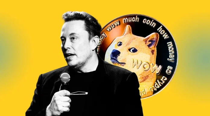 Elon Musk dice que el gobierno de los Estados Unidos no usará Dogecoin, Price Dips 5%