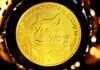 Dogecoin Price parece cerrar enero con una nota positiva, ¿será diferente a febrero?