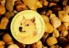 Un analista dice que Dogecoin ha entrado en otro ciclo alcista y sitúa el precio por encima de los 20 dólares