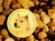 Un analista dice que Dogecoin ha entrado en otro ciclo alcista y sitúa el precio por encima de los 20 dólares