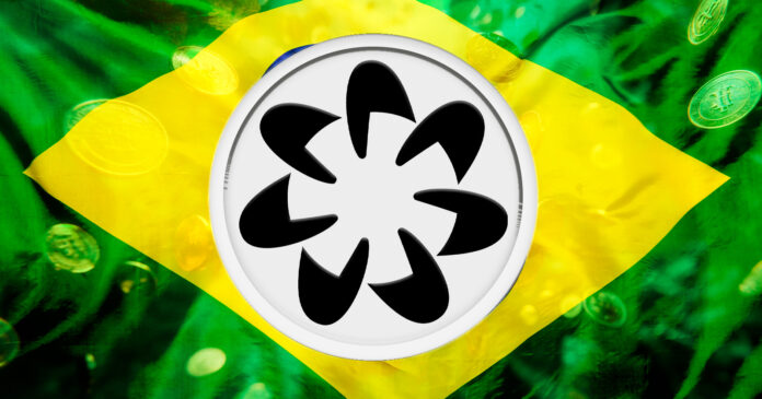 worldcoin-airdrop-brasil.jpg