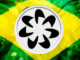 Brasil ordena a WorldCoin que suspenda la colección de Iris de inmediato