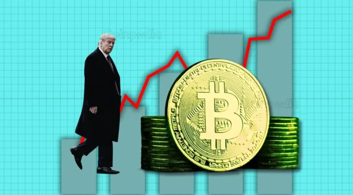 Cómo las políticas pro-cripto de Donald Trump podrían desencadenar un cambio en el mercado