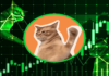 CatsLap muestra signos prometedores después de un máximo del 3,000%