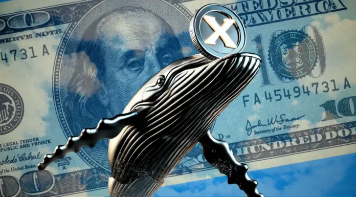Noticias de XRP: las ballenas onduladas empujan 120 millones de XRP en la reciente salsa del mercado