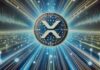 Lista rica de XRP: las 20 billeteras principales controlan más del 50% del suministro, pero ¿quién es el número 1?