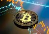 Bitcoin Today 15/01/2025: La inauguración y las distribuciones de Trump ponen en riesgo a BTC