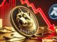 El precio de Dogecoin vuelve a $ 0,3 mientras este rival de DOGE apunta a una carrera alcista del 50.000%